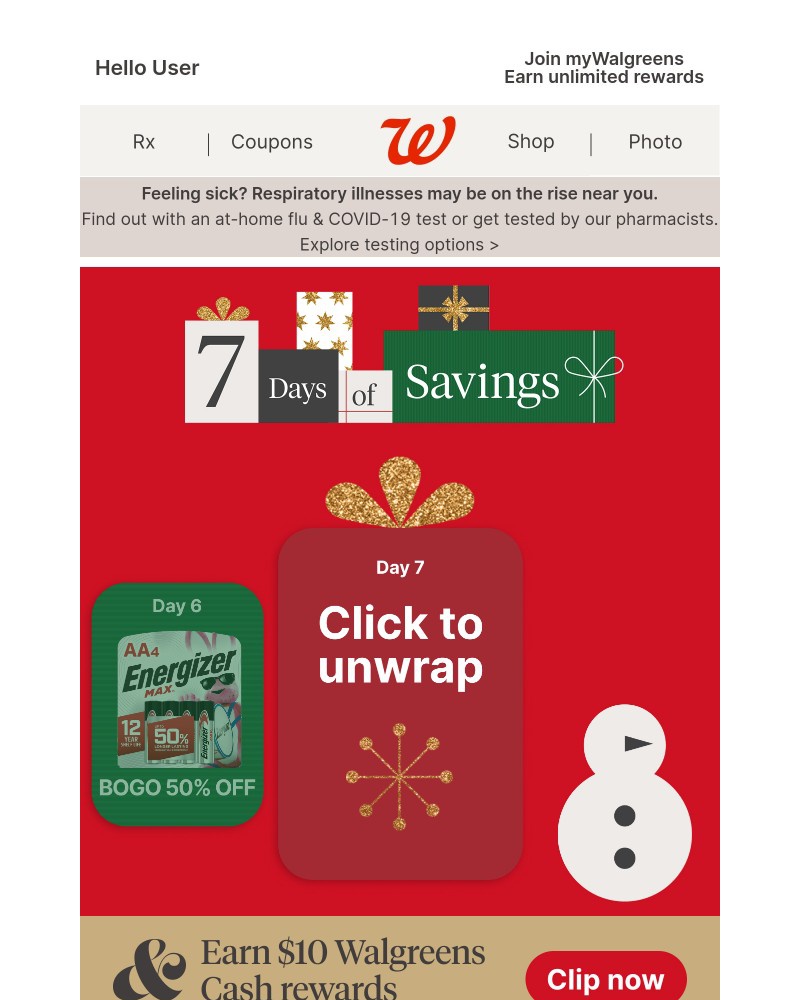 Screenshot of email with subject /media/emails/last-chance-to-savefinal-holiday-deal-inside-306e37-cropped-378caae4.jpg