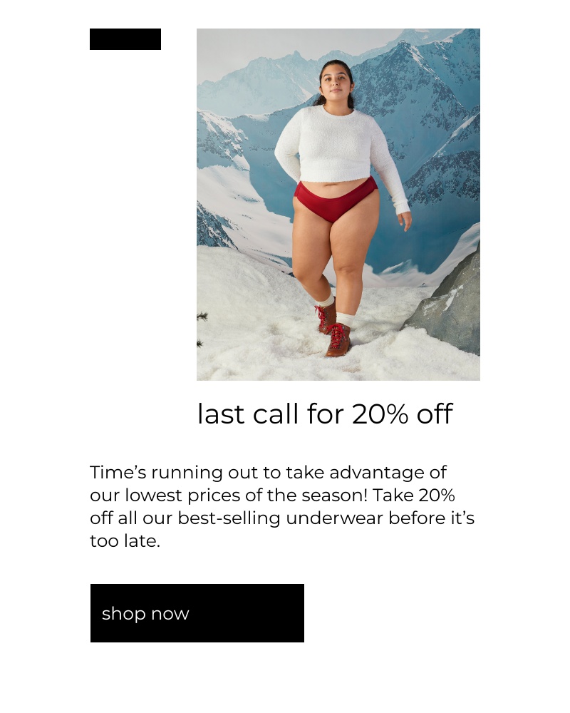 Screenshot of email with subject /media/emails/last-chance-to-shop-our-end-of-year-sale-cropped-aeed8fa2.jpg