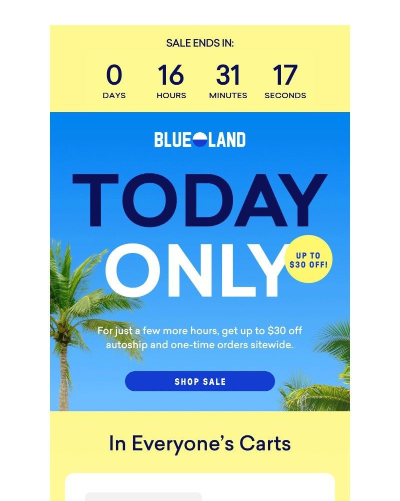 Screenshot of email with subject /media/emails/last-chance-to-shop-the-summer-sale-195c52-cropped-9e33ddd2.jpg