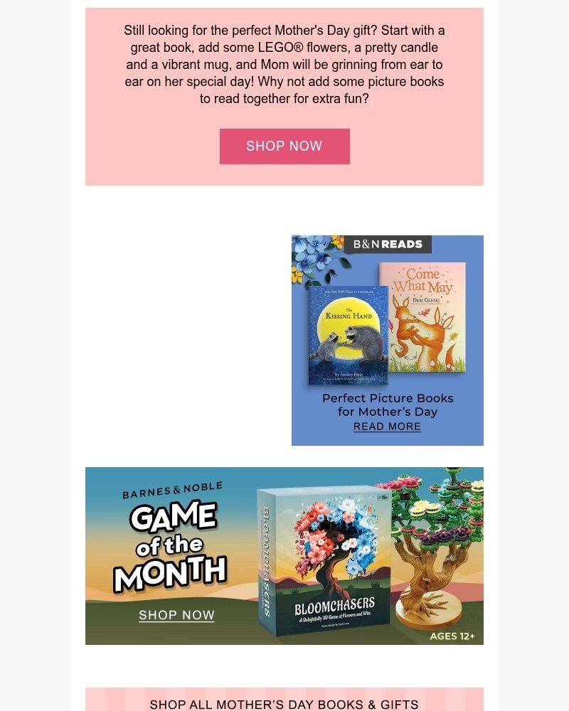 Screenshot of email sent to a Barnes and Noble Newsletter subscriber