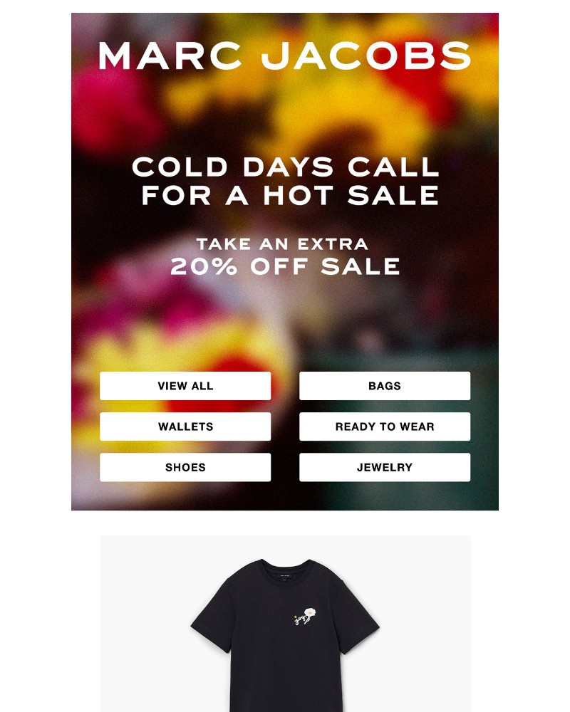 Screenshot of email with subject /media/emails/last-chance-to-warm-up-to-sale-d237bf-cropped-516bb274.jpg