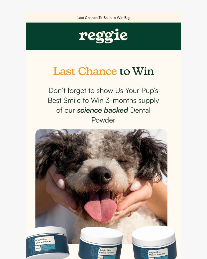Screenshot of email sent to a reggie Newsletter subscriber