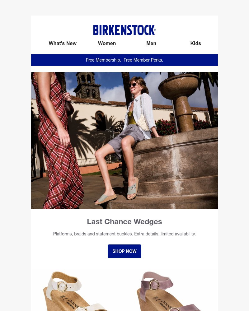 Screenshot of email with subject /media/emails/last-chance-wedges-that-make-your-feet-feel-good-90deec-cropped-200389f7.jpg