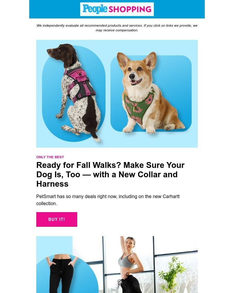 Screenshot of email with subject /media/emails/last-chance-you-only-have-24-more-hours-to-save-up-to-65-on-fall-essentials-at-no_4nBjMgP.jpg