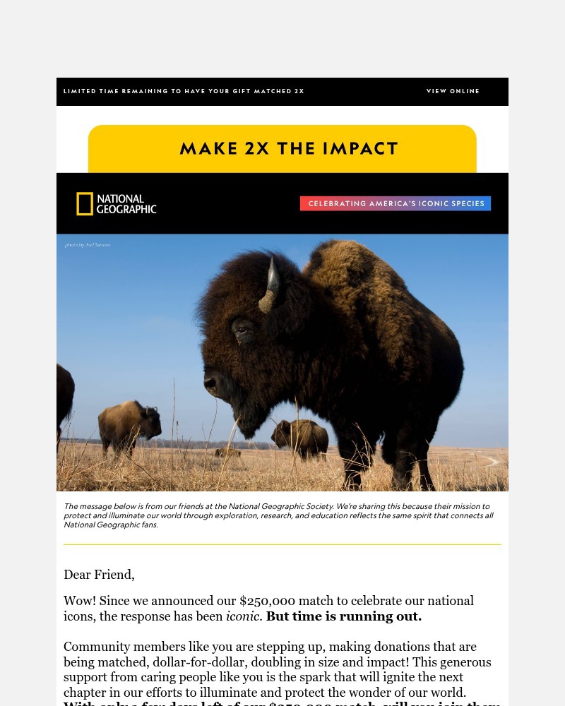Screenshot of email with subject /media/emails/last-chance-your-donation-matched-2x-2d18c6-cropped-337edeb2.jpg