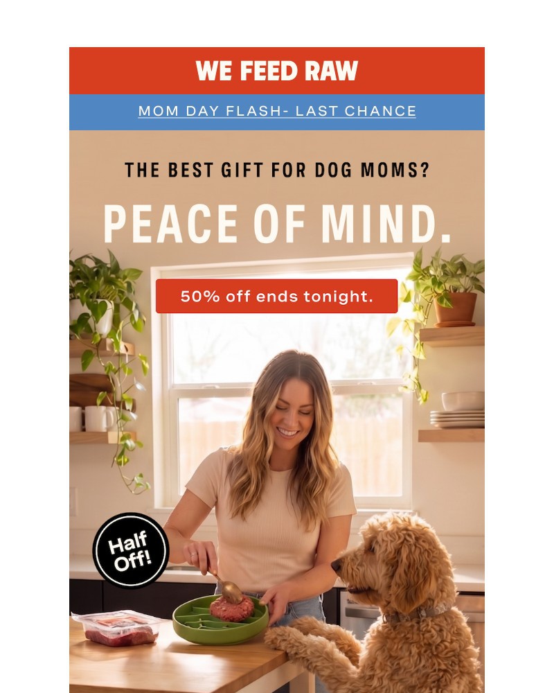 Screenshot of email sent to a We Feed Raw Newsletter subscriber