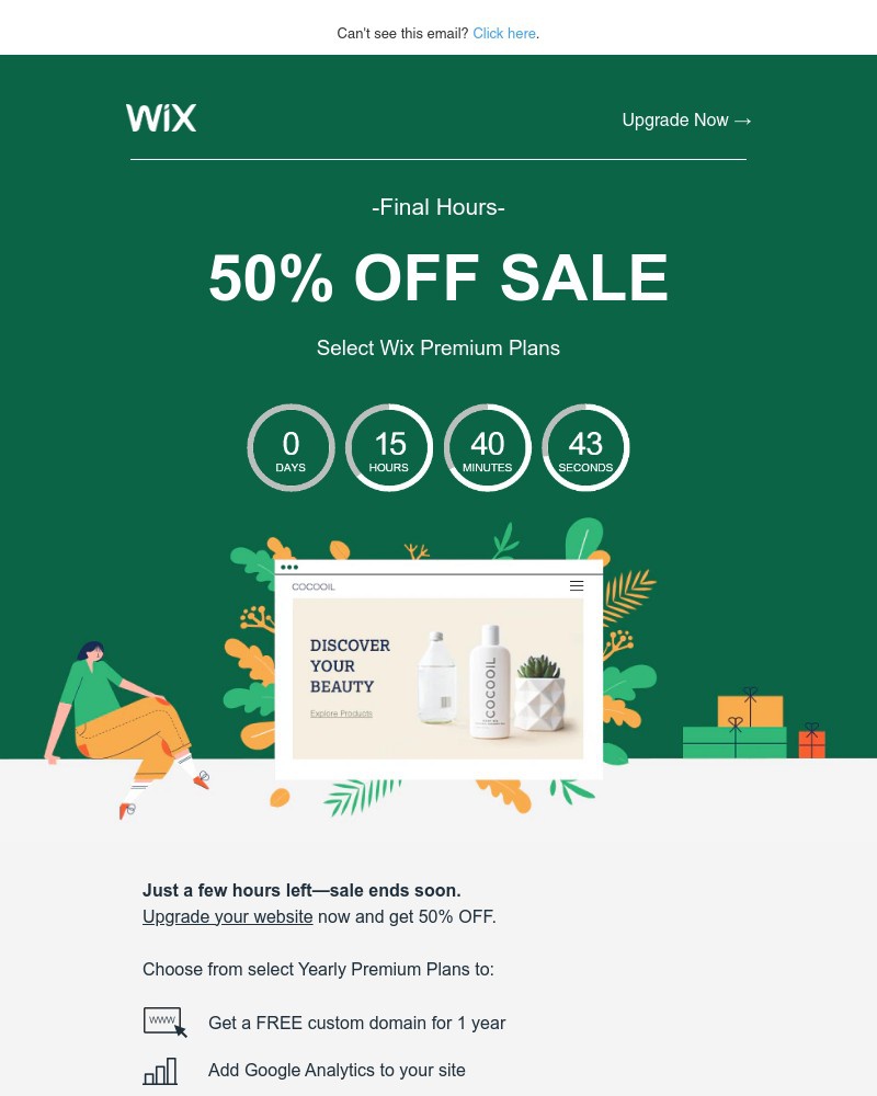 Screenshot of email with subject /media/emails/last-chancesave-50-with-wix-464375-cropped-7e804dfa.jpg