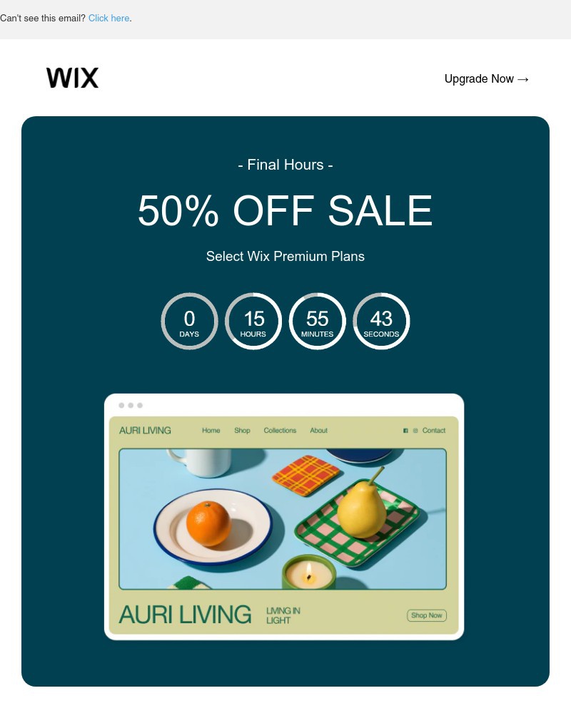 Screenshot of email with subject /media/emails/last-chancesave-50-with-wix-8ca498-cropped-0f8e88df.jpg