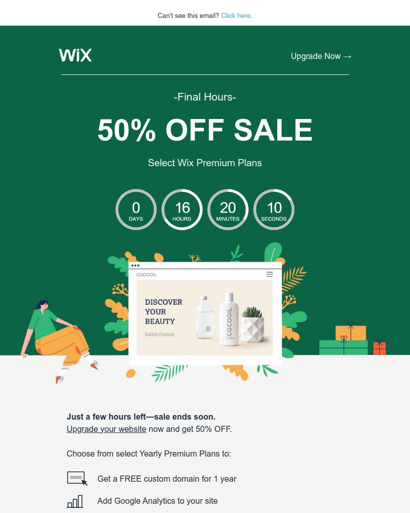 Screenshot of email sent to a Wix Registered user