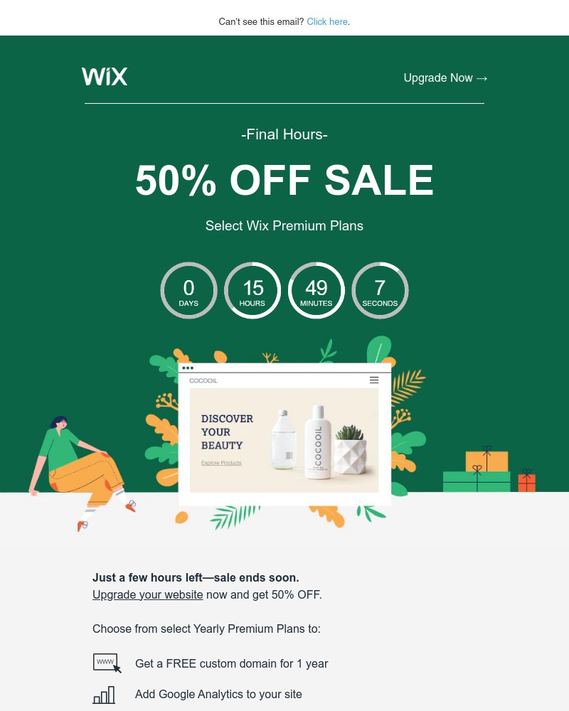 Screenshot of email with subject /media/emails/last-chancesave-50-with-wix-ff77d7-cropped-e6f50b83.jpg