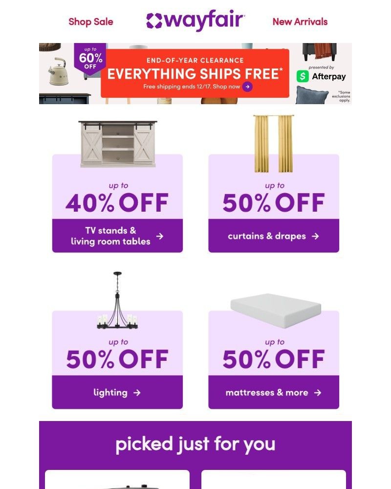 Screenshot of email sent to a Wayfair Newsletter subscriber
