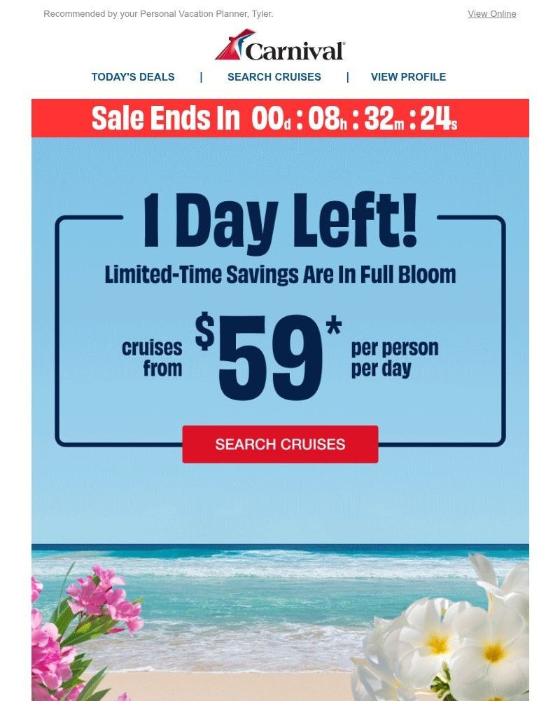 Screenshot of email with subject /media/emails/last-day-07849f-cropped-949ef127.jpg