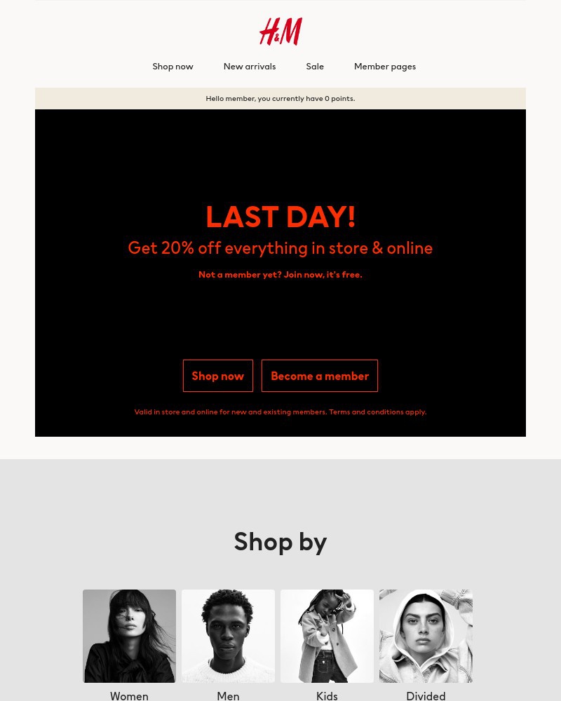 Screenshot of email with subject /media/emails/last-day-20-off-everything-c0f134-cropped-68df6150.jpg