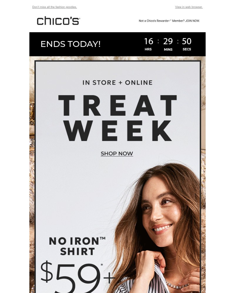 Screenshot of email with subject /media/emails/last-day-39-style-treats-5a7a17-cropped-6139d136.jpg