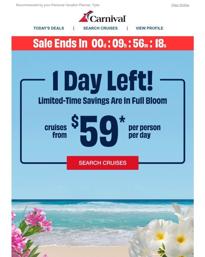 Screenshot of email with subject /media/emails/last-day-40a604-cropped-9319d077.jpg