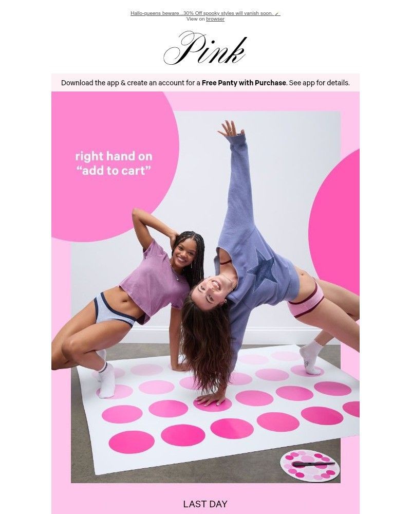 Screenshot of email with subject /media/emails/last-day-add-1040-panties-to-your-cart-6deed3-cropped-6bedc2dd.jpg