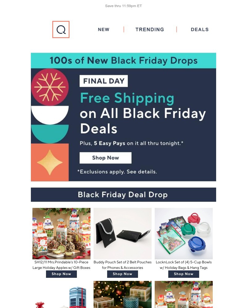 Screenshot of email with subject /media/emails/last-day-black-friday-free-shipping-1dcbcb-cropped-f74c4148.jpg