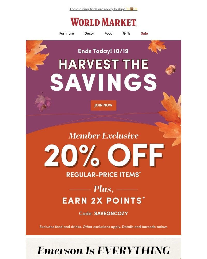 Screenshot of email with subject /media/emails/last-day-for-20-off-4764c1-cropped-ec8a5a4b.jpg