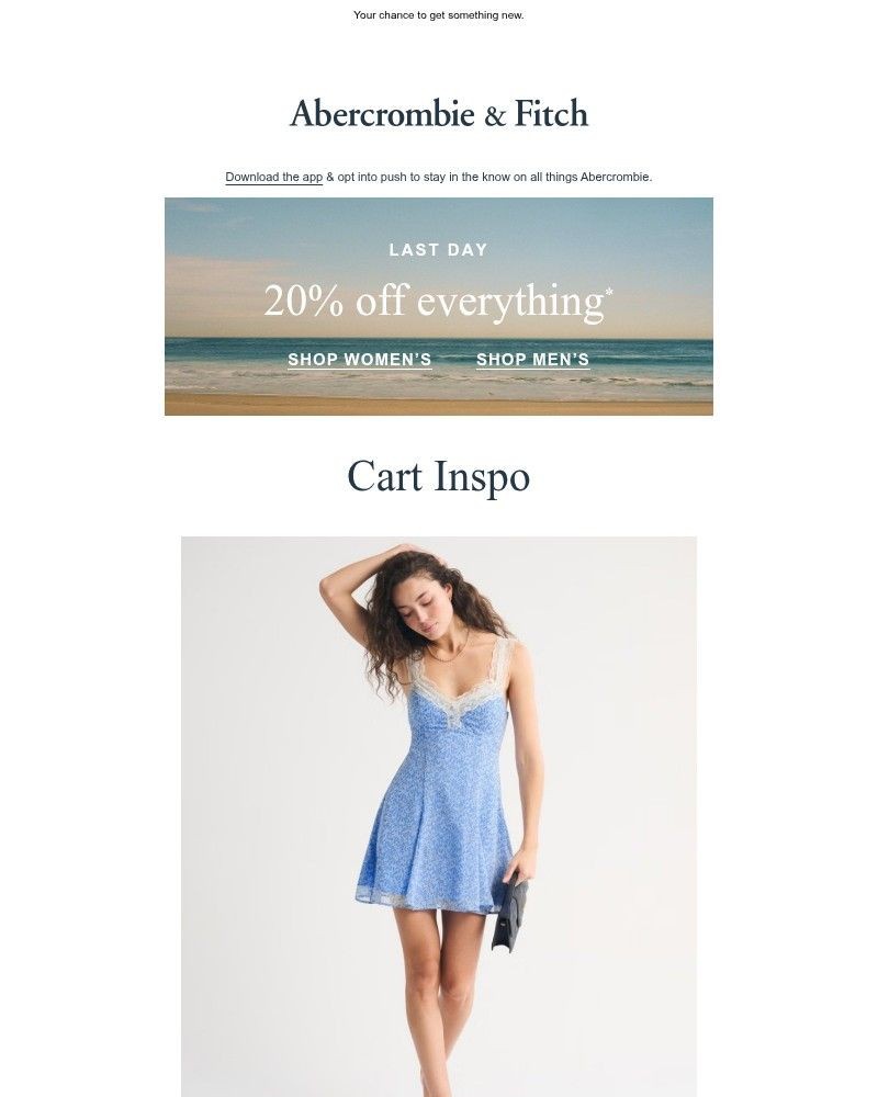 Screenshot of email with subject /media/emails/last-day-for-20-off-everything-120aca-cropped-07a1d175.jpg