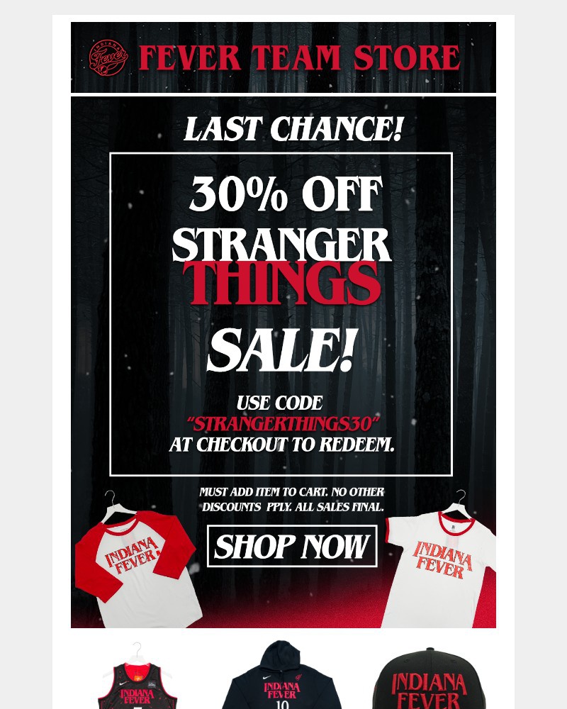 Screenshot of email with subject /media/emails/last-day-for-30-off-stranger-things-merchandise-9bd0bd-cropped-c0c2bcd3.jpg