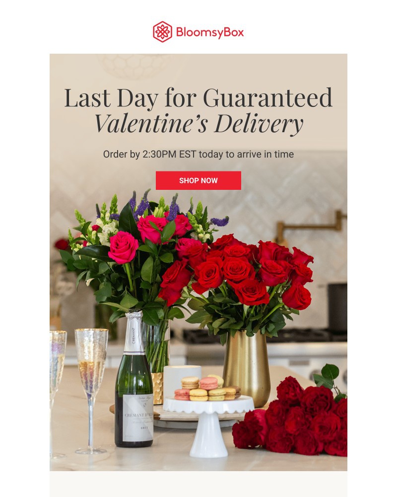 Screenshot of email with subject /media/emails/last-day-for-guaranteed-delivery-a02f59-cropped-3db88274.jpg