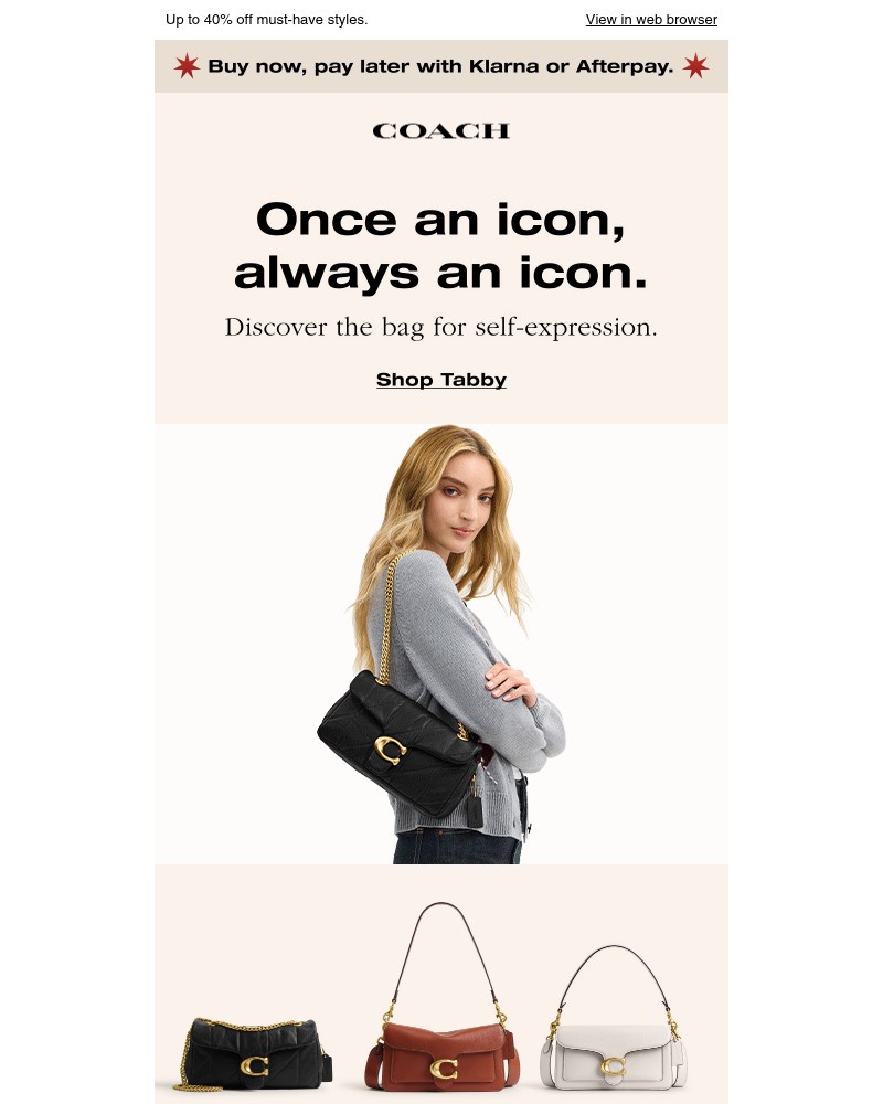 Screenshot of email with subject /media/emails/last-day-for-our-black-friday-sale-378a03-cropped-9a8e9fb2.jpg