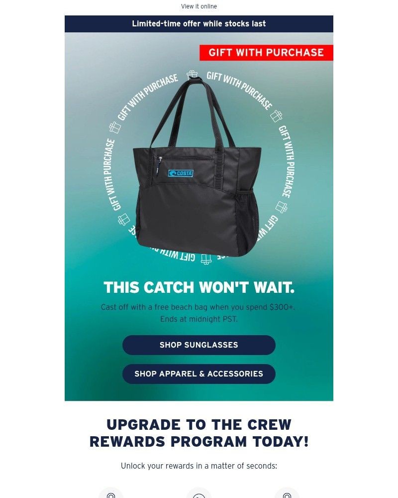 Screenshot of email with subject /media/emails/last-day-to-grab-your-free-beach-bag-569a19-cropped-c6d81583.jpg