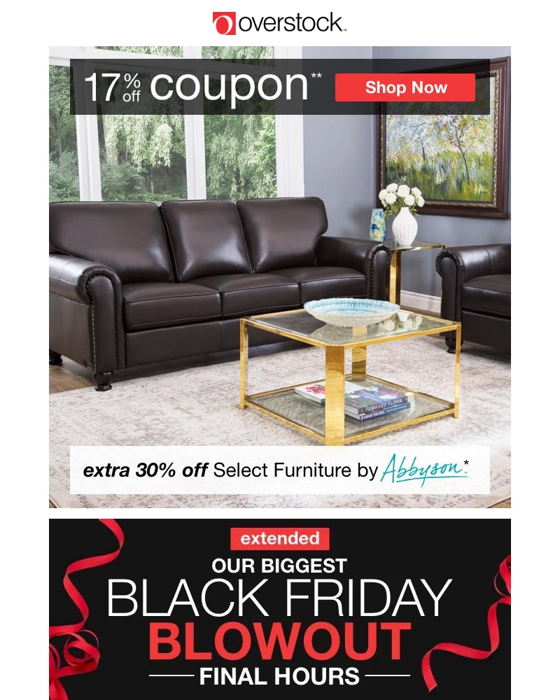 Screenshot of email with subject /media/emails/last-day-to-shop-black-friday-extended-dont-miss-your-17-off-coupon-these-sales-c_e8u3TvC.jpg