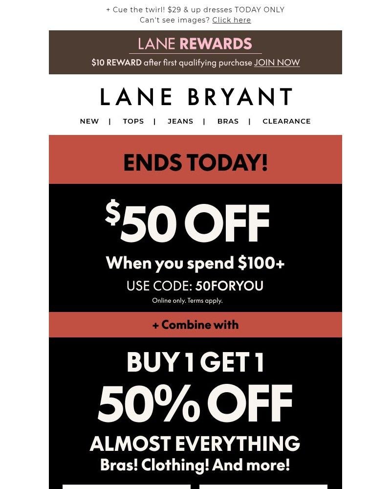 Screenshot of email sent to a Lane Bryant Newsletter subscriber