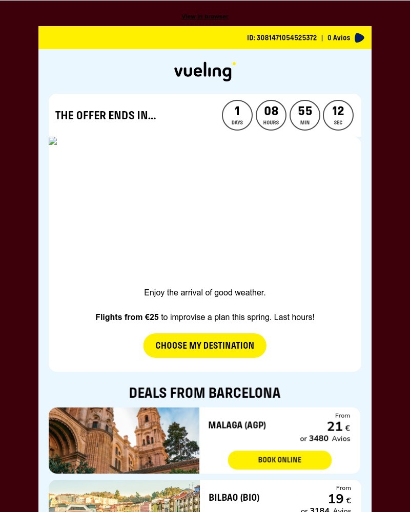 Screenshot of email sent to a Vueling Registered user