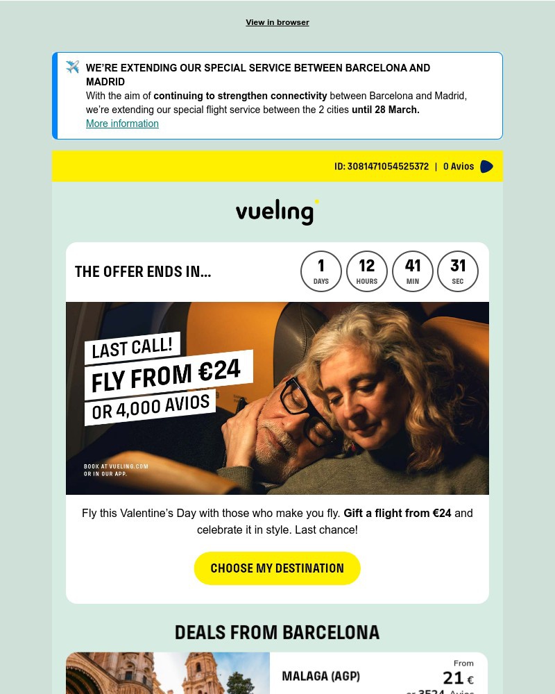 Screenshot of email sent to a Vueling Registered user