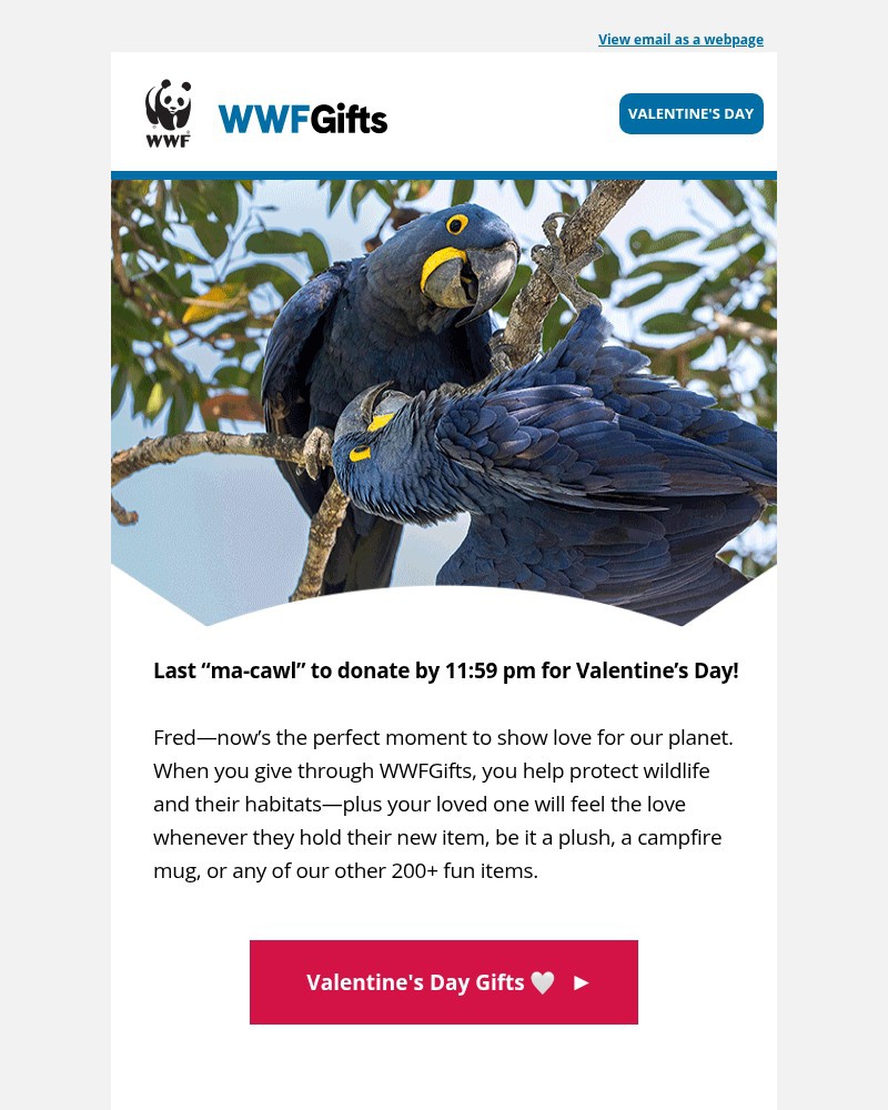 Screenshot of email with subject /media/emails/last-ma-cawl-to-donate-by-1159-pm-for-valentines-day-2bab8e-cropped-9d8bbad0.jpg