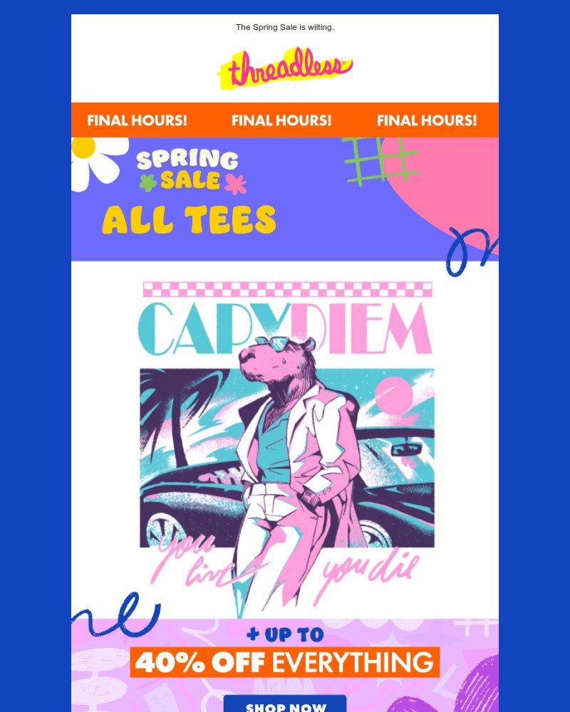 Screenshot of email with subject /media/emails/last-shot-13-tees-end-today-833cb9-cropped-319ff740.jpg