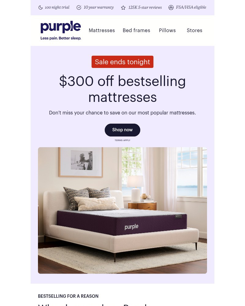 Screenshot of email with subject /media/emails/last-warning-sale-ends-tonight-1f6e2a-cropped-b9b536e2.jpg