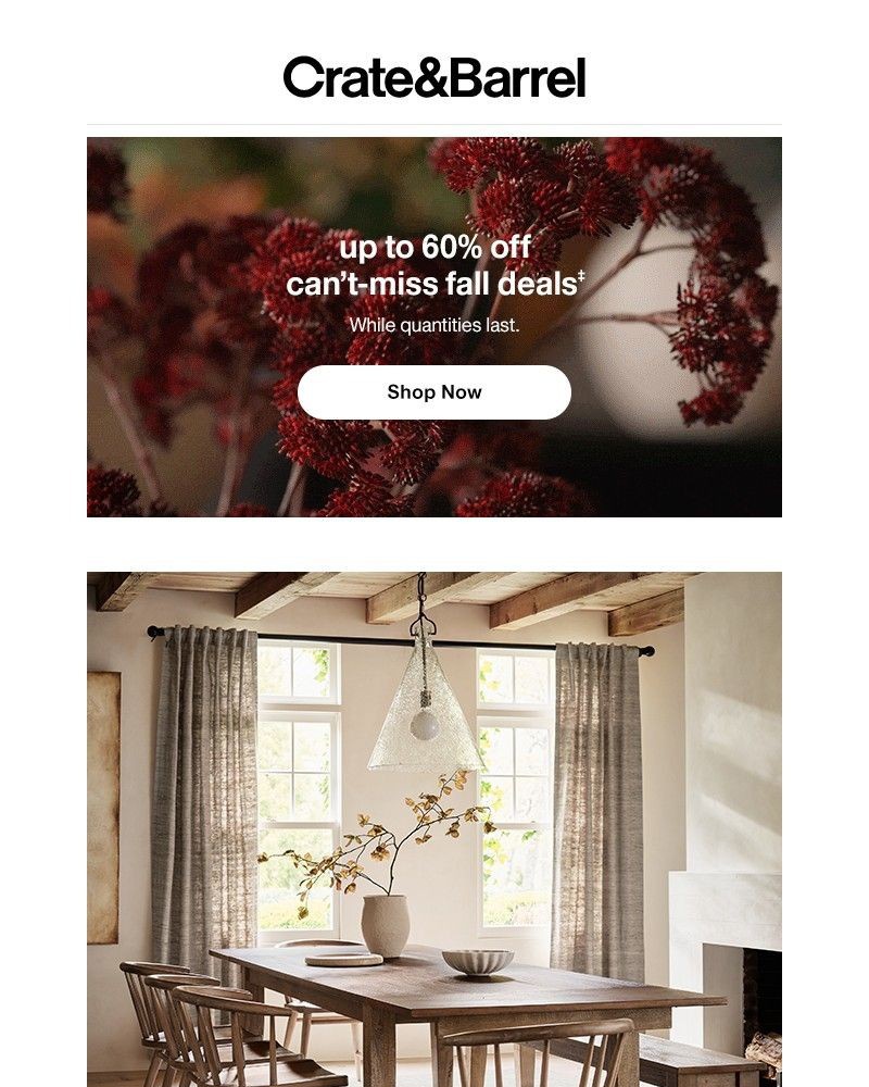 Screenshot of email with subject /media/emails/last-week-for-up-to-30-off-dining-room-furniture-03e9cf-cropped-1b5229e8.jpg