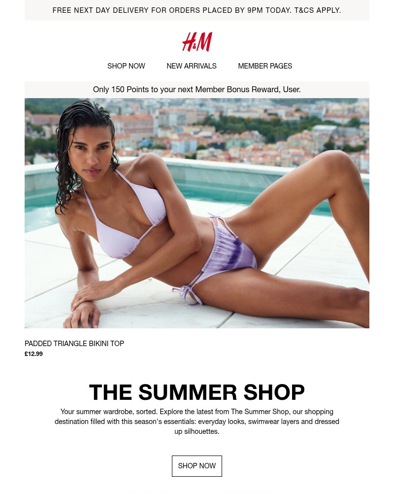 Screenshot of email with subject /media/emails/latest-from-the-summer-shop-e76cc6-cropped-b2a3e16a.jpg