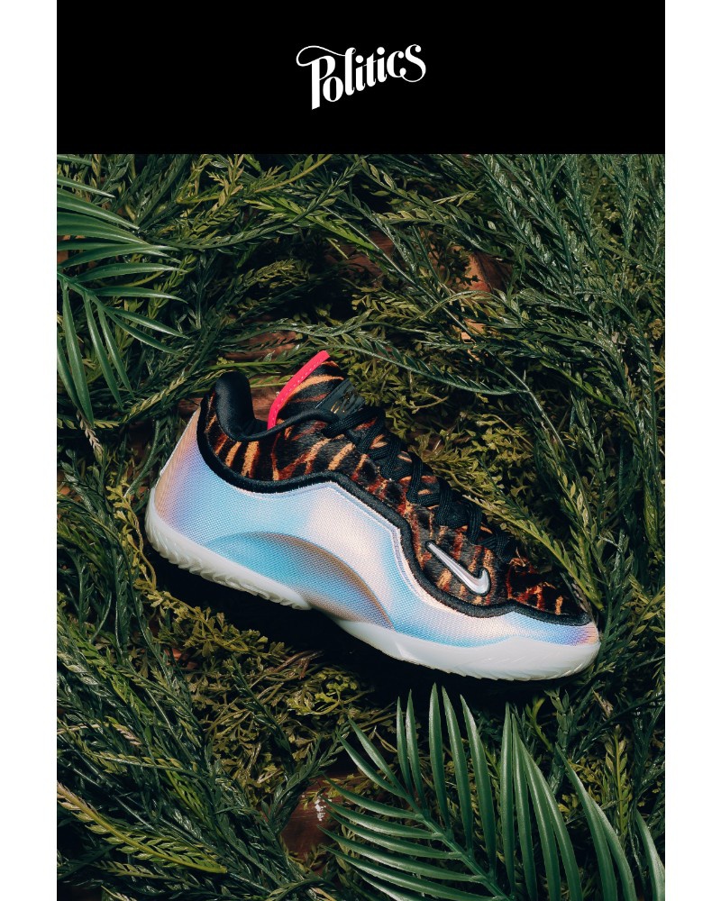 Screenshot of email sent to a Sneaker Politics Newsletter subscriber