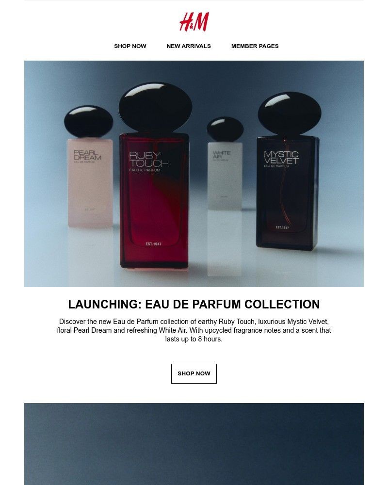Screenshot of email with subject /media/emails/launching-eau-de-parfum-collection-2137e1-cropped-53cf69be.jpg