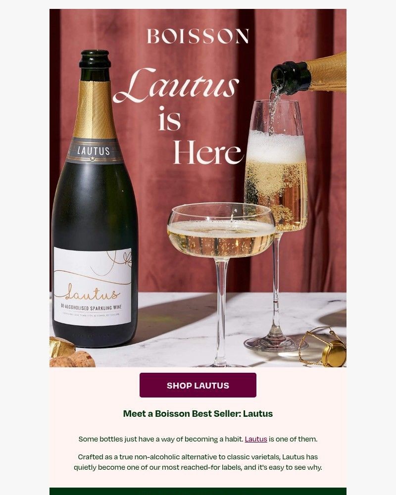 Screenshot of email sent to a Boisson Newsletter subscriber