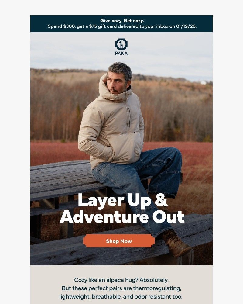 Screenshot of email with subject /media/emails/layer-up-with-alpaca-hugs-b763be-cropped-d3a928d3.jpg