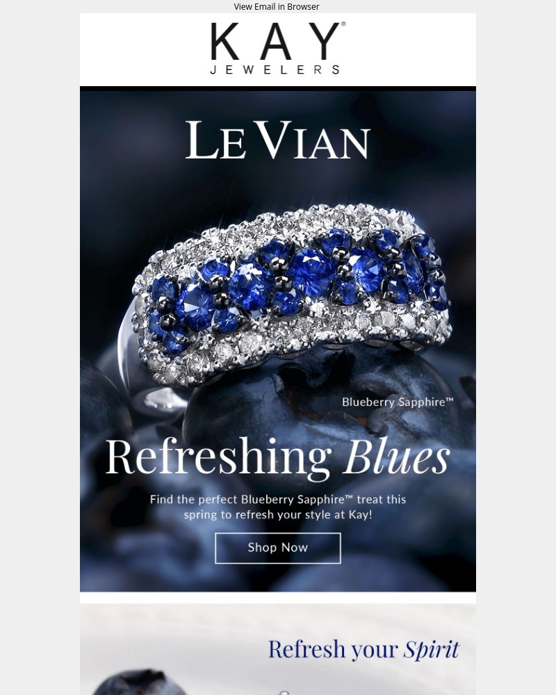 Screenshot of email with subject /media/emails/le-vian-blueberry-treats-are-now-here-c16d24-cropped-a283d321.jpg