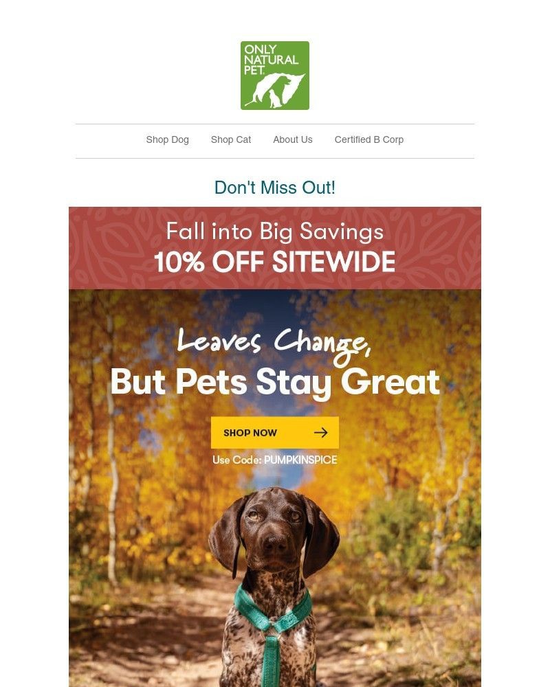 Screenshot of email with subject /media/emails/leaf-worries-behind-with-10-off-sitewide-a2fcb1-cropped-a9e09e4f.jpg