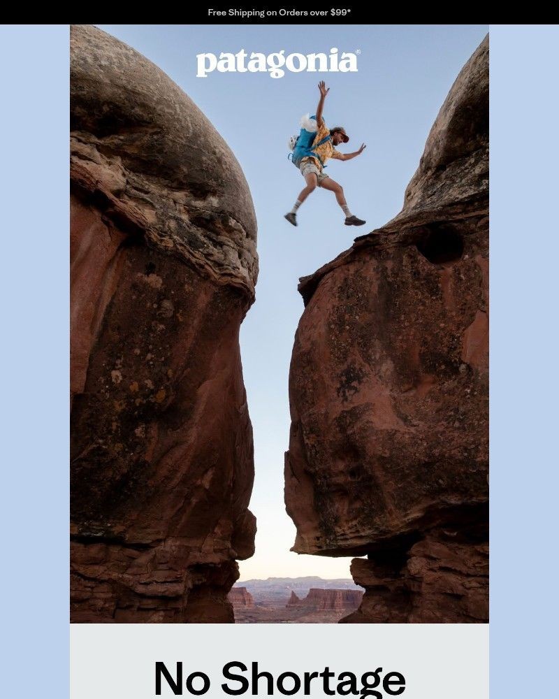 Screenshot of email sent to a Patagonia Newsletter subscriber