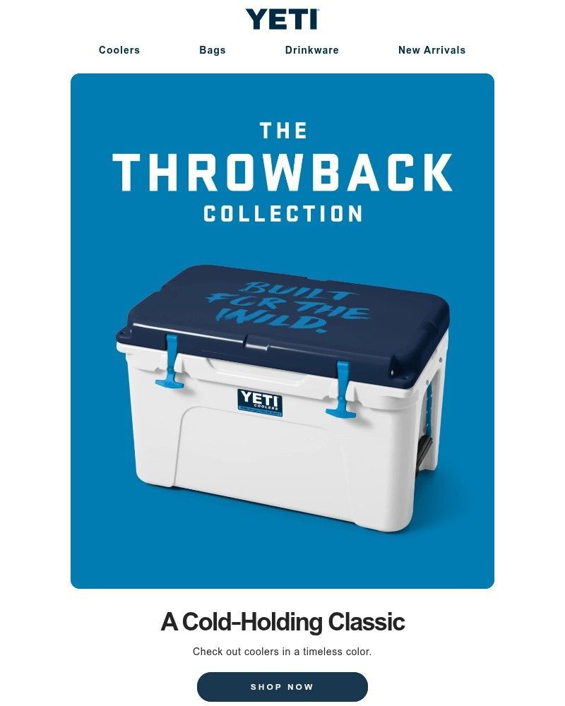 Screenshot of email sent to a Yeti Newsletter subscriber