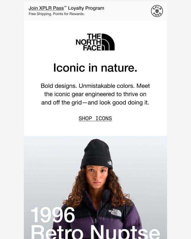 Screenshot of email sent to a The North Face Newsletter subscriber