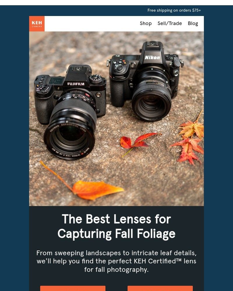 Screenshot of email with subject /media/emails/lens-guide-for-the-perfect-fall-shots-7061aa-cropped-a5505642.jpg