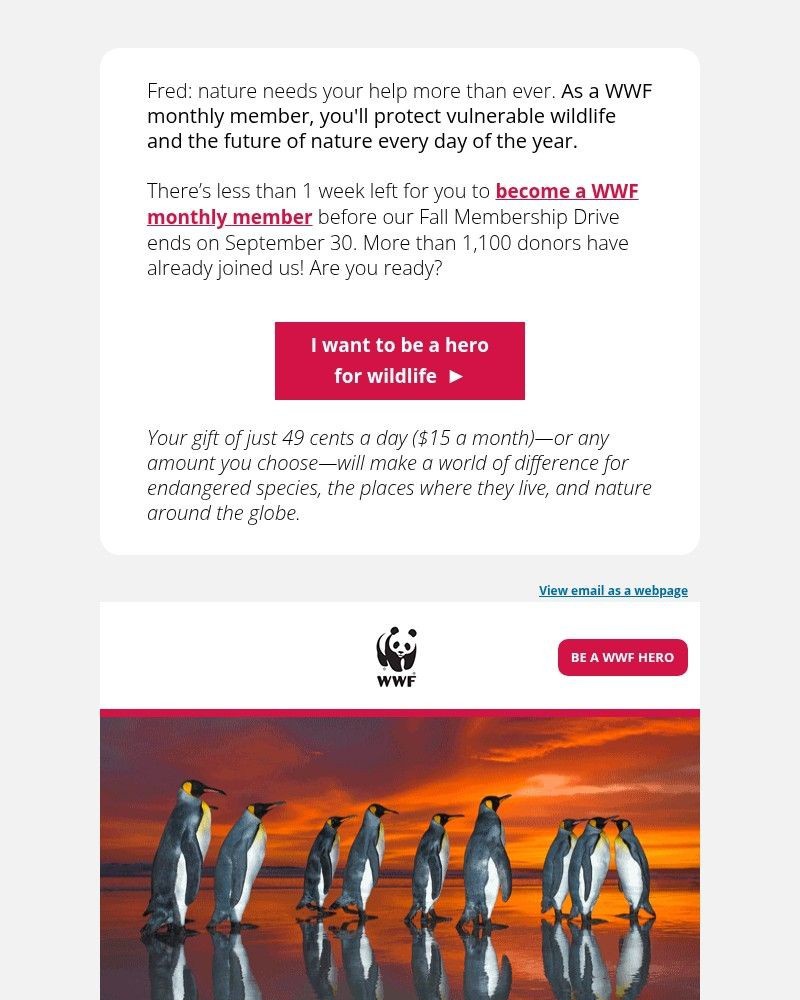 Screenshot of email with subject /media/emails/less-than-1-week-left-d4f403-cropped-d304eca8.jpg