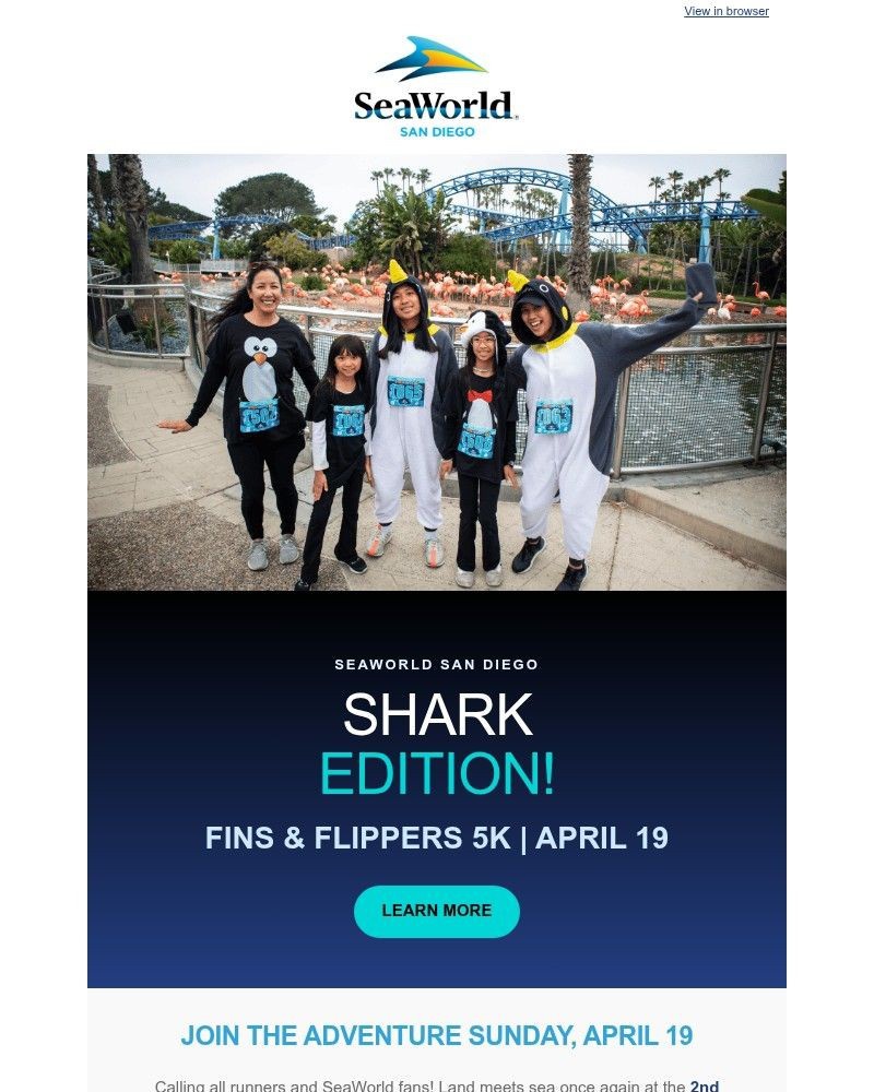 Screenshot of email sent to a Sea World Newsletter subscriber