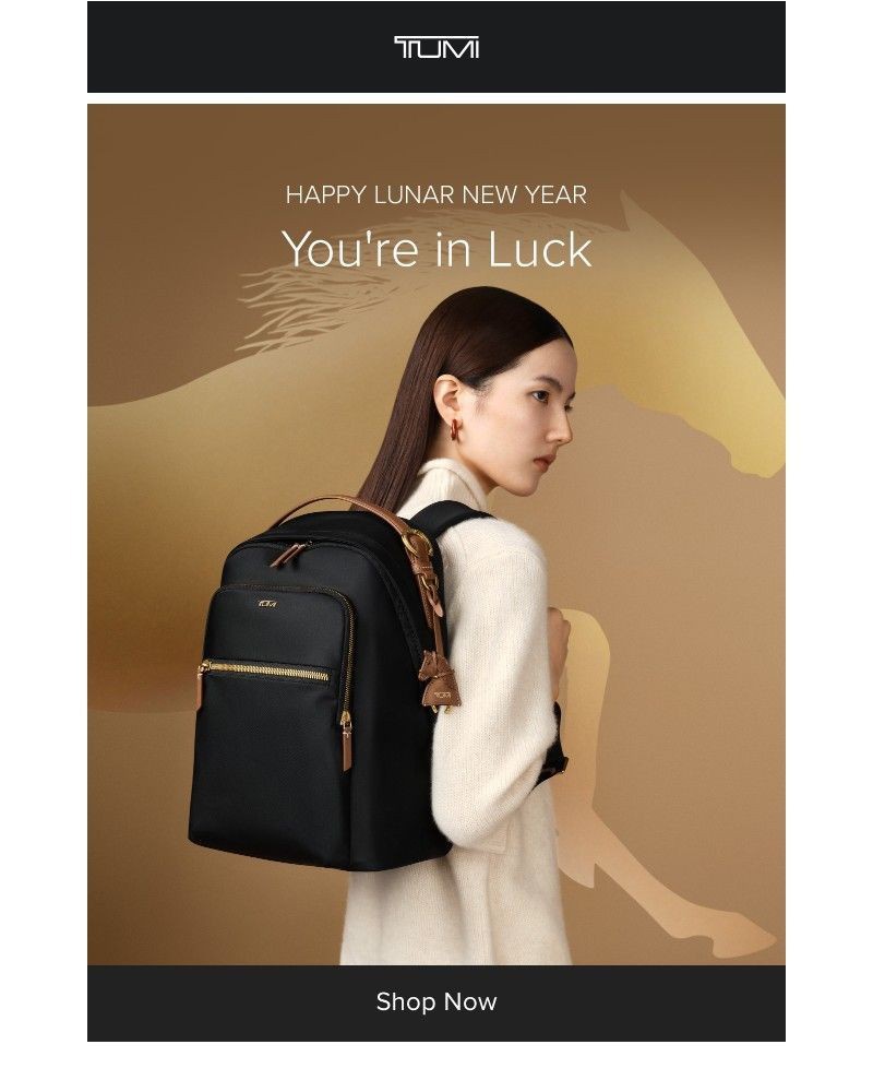 Screenshot of email with subject /media/emails/let-it-ride-its-the-year-of-the-horse-c4c177-cropped-4d0ba9f1.jpg