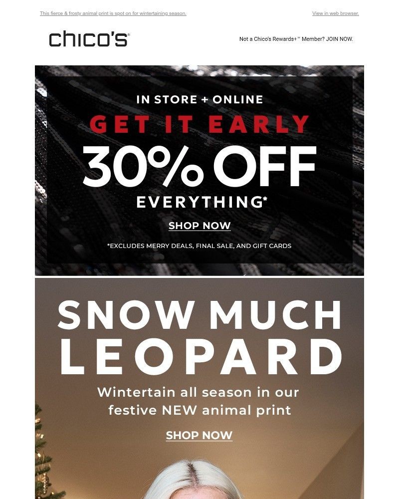 Screenshot of email with subject /media/emails/let-it-snow-leopard-30-off-64a573-cropped-ae575ef2.jpg